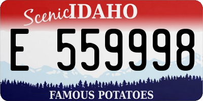 ID license plate E559998