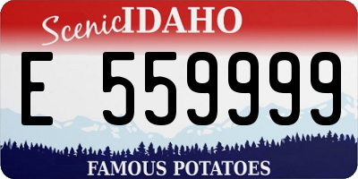 ID license plate E559999