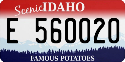 ID license plate E560020
