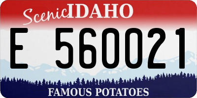 ID license plate E560021