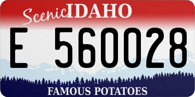 ID license plate E560028