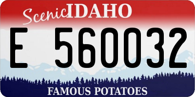 ID license plate E560032
