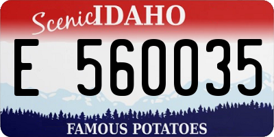 ID license plate E560035