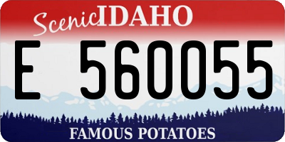 ID license plate E560055