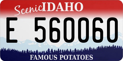 ID license plate E560060