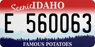 ID license plate E560063