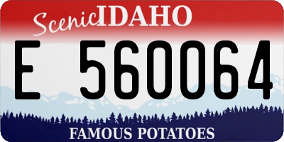 ID license plate E560064
