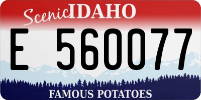 ID license plate E560077