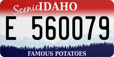 ID license plate E560079