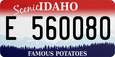 ID license plate E560080