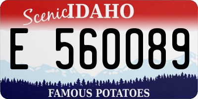 ID license plate E560089