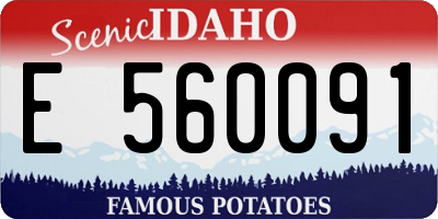 ID license plate E560091