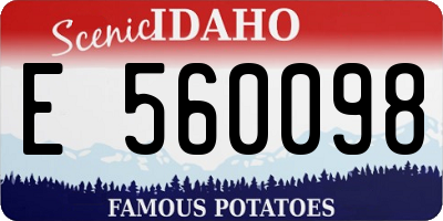 ID license plate E560098
