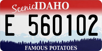 ID license plate E560102