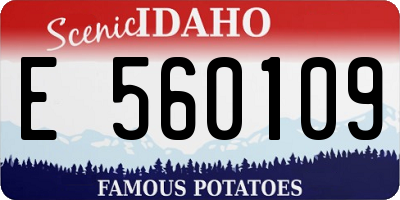 ID license plate E560109