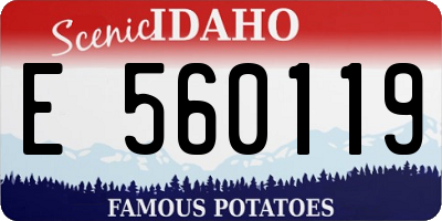 ID license plate E560119