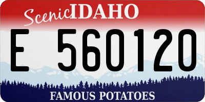 ID license plate E560120