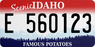 ID license plate E560123