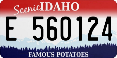 ID license plate E560124