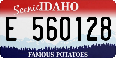 ID license plate E560128