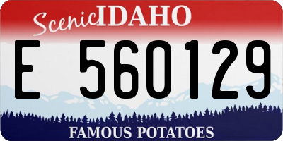 ID license plate E560129