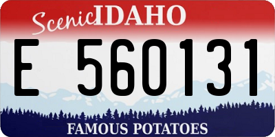 ID license plate E560131