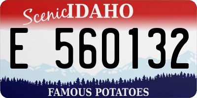 ID license plate E560132
