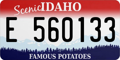 ID license plate E560133