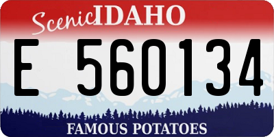 ID license plate E560134