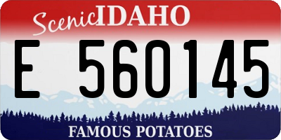 ID license plate E560145