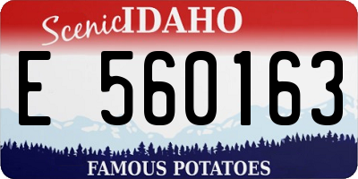 ID license plate E560163