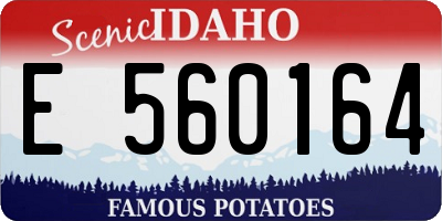 ID license plate E560164