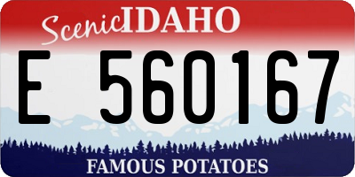 ID license plate E560167