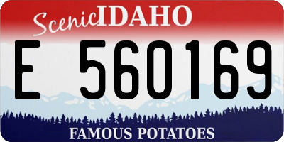 ID license plate E560169