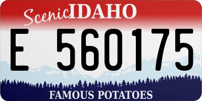 ID license plate E560175