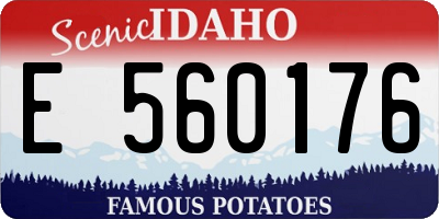 ID license plate E560176