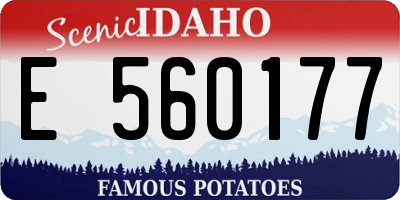 ID license plate E560177