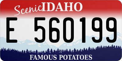 ID license plate E560199