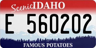 ID license plate E560202