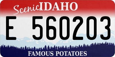 ID license plate E560203
