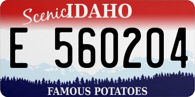 ID license plate E560204