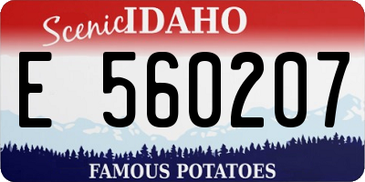 ID license plate E560207