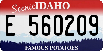 ID license plate E560209