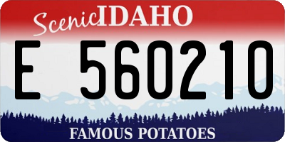 ID license plate E560210