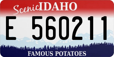 ID license plate E560211