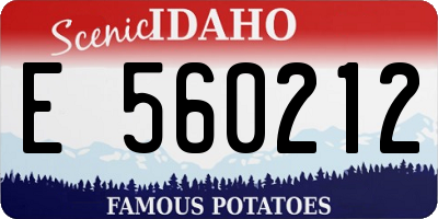 ID license plate E560212
