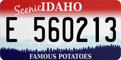 ID license plate E560213