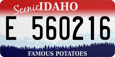 ID license plate E560216