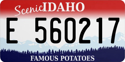 ID license plate E560217