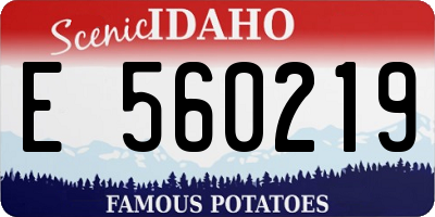 ID license plate E560219